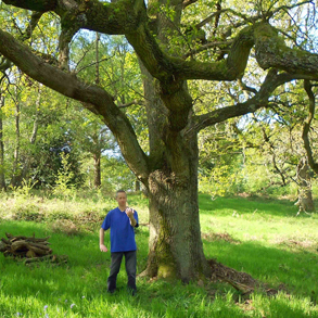 Qi Gong classes in Basingstoke’
